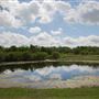 Cravens Park