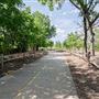 Dr. Robert Cluck Linear Park
