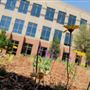 George W. Hawkes  Downtown Library