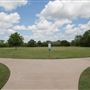 Treepoint Park