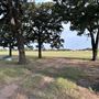 Fairlea Longhorn Ranch