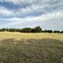Fairlea Longhorn Ranch