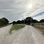Fairlea Longhorn Ranch