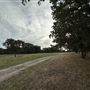 Fairlea Longhorn Ranch