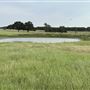 Fairlea Longhorn Ranch