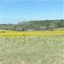 Bishop Property