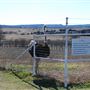 Blue Ostrich Winery & Vineyard