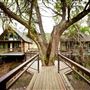 River Road Treehouses