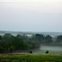 Mineola Nature Preserve