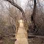 Mineola Nature Preserve