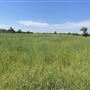 7D Hay & Cattle LLC