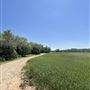 7D Hay & Cattle LLC