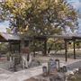 The Yurtopian - Hill Country Resort