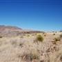 Cibolo Creek Ranch