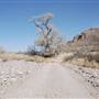 Cibolo Creek Ranch