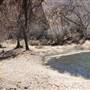 Cibolo Creek Ranch