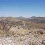 Cibolo Creek Ranch