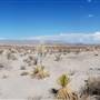 Big Bend National Park  - Fossil Bone Overlook