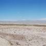 Big Bend National Park  - Fossil Bone Overlook