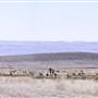 Ranch Road 505