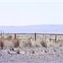 Ranch Road 505