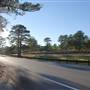 HWY 21 (East of Bastrop)