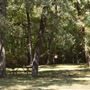 Bear Creek Nature Park