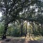 Flournoy Farm