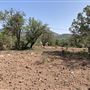 Hess Property