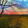 Tipton Ranch