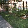 Rose Garden & Historic Market Depot
