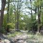 Blue Hole Regional Park