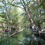 Blue Hole Regional Park