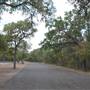 Lockhart State Park