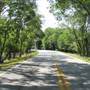 Tripp Road