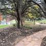 Gage Gardens