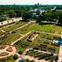 Tyler Municiple Rose Garden