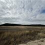 Thistle Ridge Farms