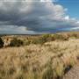 Hwy 118 South of Alpine