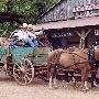 Enchanted Springs Ranch