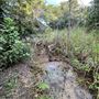 Lost Creek at Wimberley
