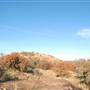 Enchanted Rock State Natural Area