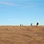 Enchanted Rock State Natural Area