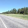 Hwy 80 East of Mineola