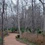 Palmetto State Park