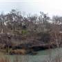 Palmetto State Park