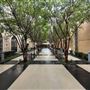 Texas A&M University - San Antonio