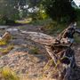 Chick Ranch