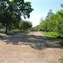 Hike & Bike Trail at Lady Bird Lake