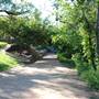 Hike & Bike Trail at Lady Bird Lake